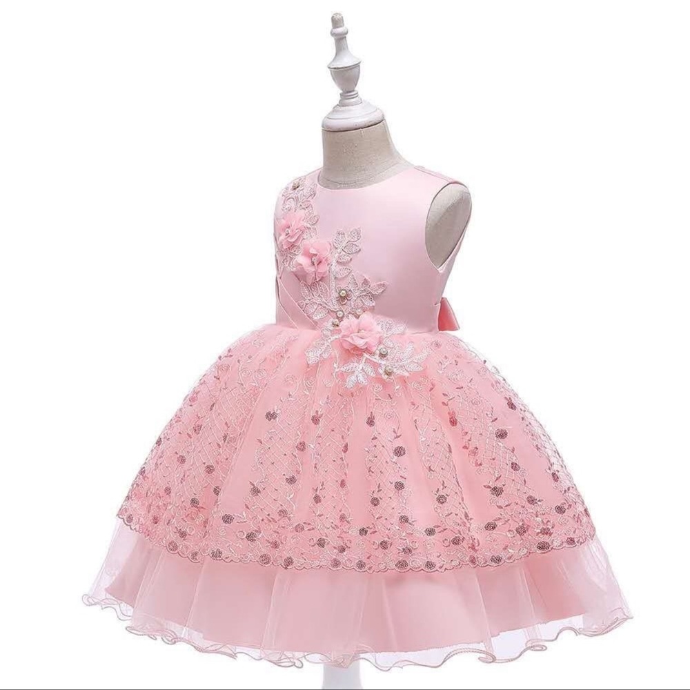 Princess girl sparkly embroidered Flower dress
